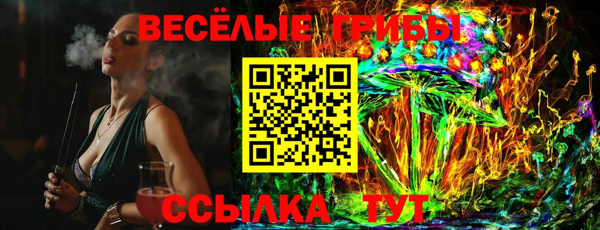 Псилоцибиновые грибы Cubensis  как найти закладки  Вход с VPN  Клинцы  Псилоцибиновые грибы GOLDEN TEACHER 