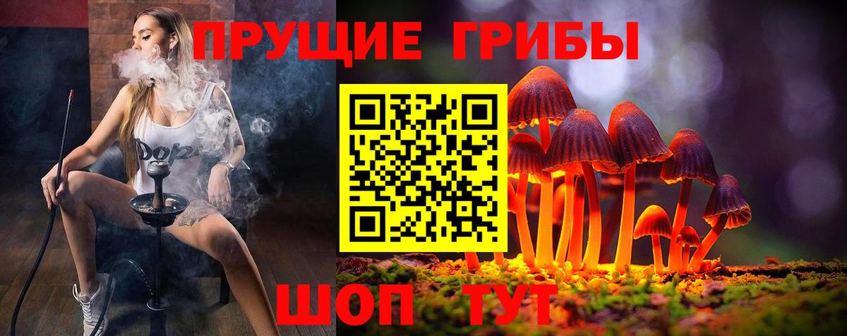 Галлюциногенные грибы Psilocybine cubensis Клинцы